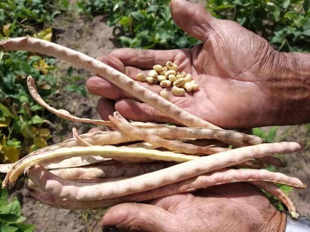 VENEZUELA: MÁS ALIMENTOS Y MENOS HAMBRE EN&nbsp;2023