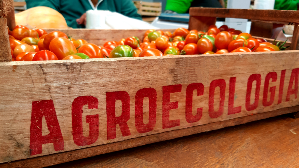 LA OTRA CARA DEL CAMPO&nbsp;ARGENTINO