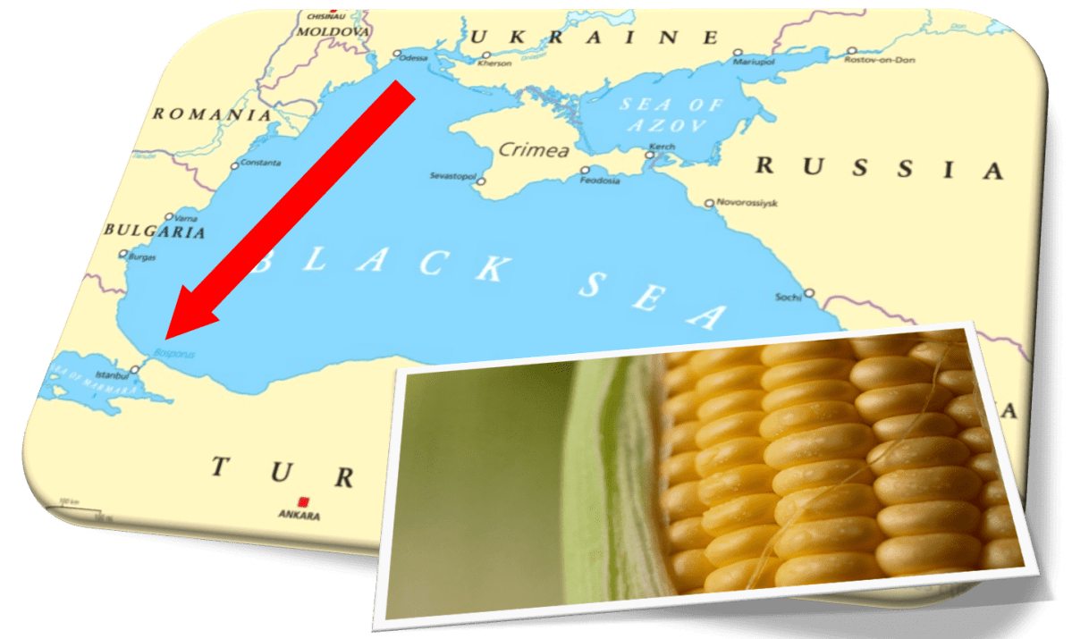 ¿QUÉ PASA CON LOS GRANOS DE&nbsp;UCRANIA?