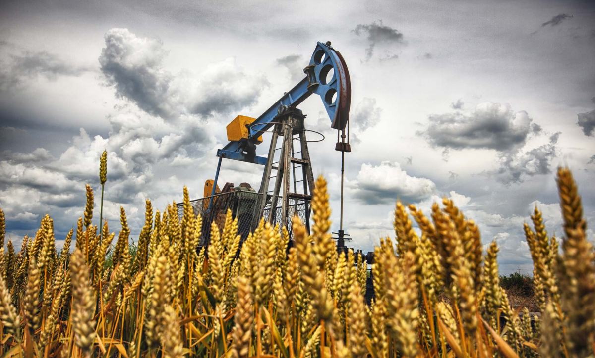 COMIENDO PETRÓLEO[1]