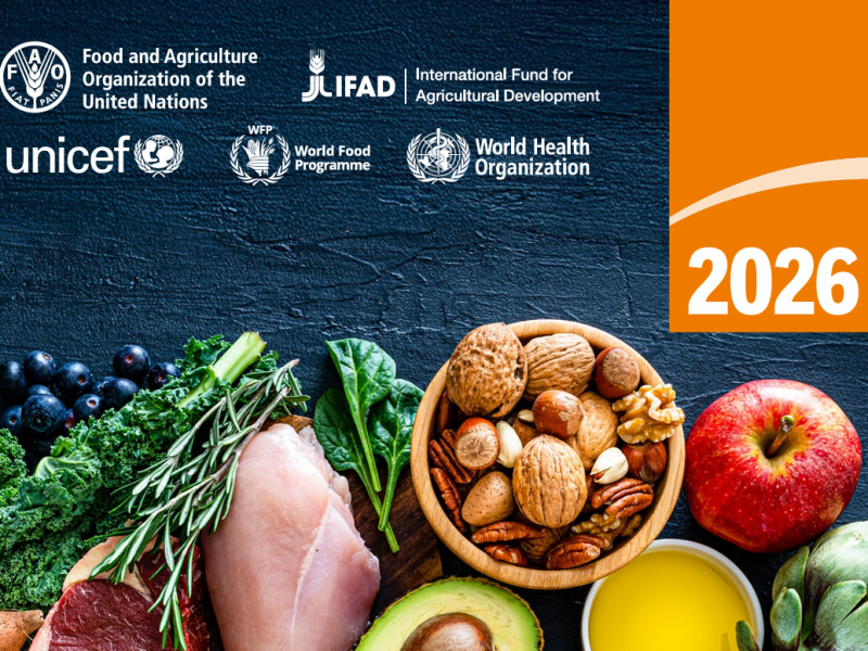 LA REDUCCIÓN SOSTENIDA DEL HAMBRE EN VENEZUELA: ANÁLISIS DEL SOFI-FAO&nbsp;2026